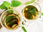 Kraina Czarnego Bzu Teresa i Andrzej Lubeccy