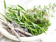 Elżbieta Jabłońska