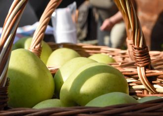 Gospodarstwo sadownicze Arkadiusz Ziółkowski